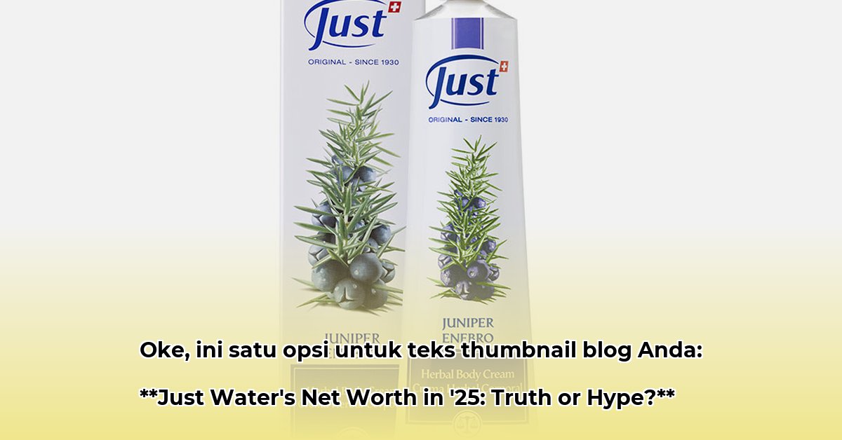 just-water-net-worth